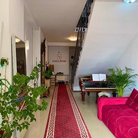 Hotel Casa Pino à Braşov Extérieur photo